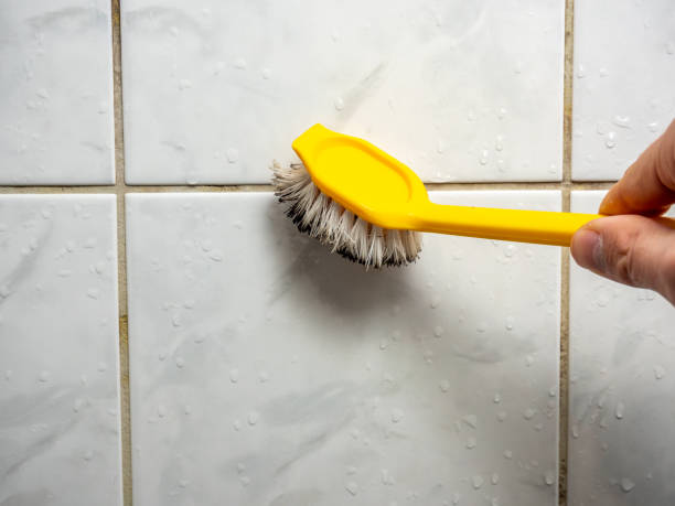 Best Mold Removal Near Me  in Munfordville, KY