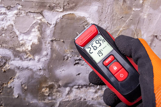 Best Office Mold Removal Services  in Munfordville, KY