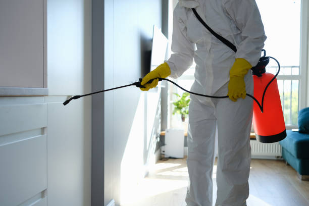 Best Home Mold Removal  in Munfordville, KY
