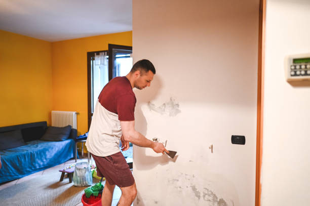Best Mold Remediation  in Munfordville, KY
