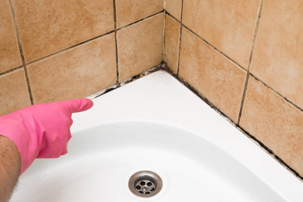 Best Fast Mold Removal  in Munfordville, KY